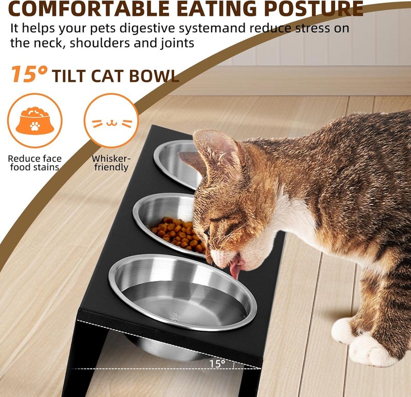 LYCC Elevated cat Bowls with Non-Slip Base, 15°Tilted Integrated Stand Anti Vomiting Raised Cat Dishes, Includes 3 Stainless Steel Bowls for Food and Water, Suitable for Cats and Small Dogs. - Image 2